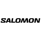 Ikona Salomon logo