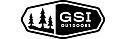 Gsi