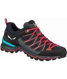 WS MTN TRAINER LITE