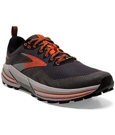 Topánky BROOKS CASCADIA 16 GTX M Man