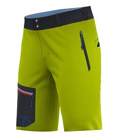 Kraťasy CRAZY SHORT RESOLUTION Man