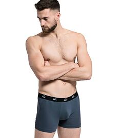 Boxerky CITYZEN ANTIBAKTERIÁLNE PÁNSKE BOXERKY Man, sivá