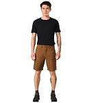 Kraťasy PRANA BRION SHORT II 9IN Man, sépia